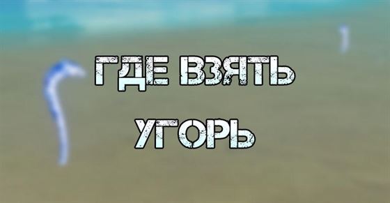 Genshin Impact: Угорь — где купить, найти и как поймать